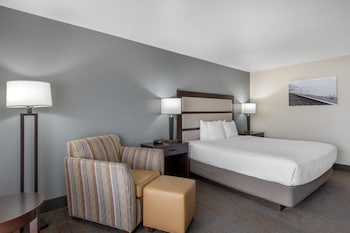 Standard Room, 1 King Bed, Accessible, Patio