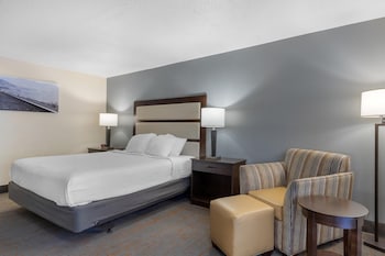 Standard Room, 1 King Bed, Non Smoking, Patio (1st Floor)