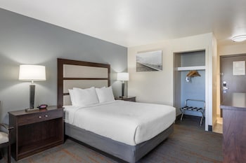 Standard Room, 1 Queen Bed, Non Smoking, Refrigerator & Microwave