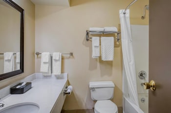 Standard Room, 1 King Bed, Non Smoking, Refrigerator & Microwave (Pet Friendly)