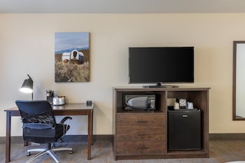 Standard Room, 1 King Bed, Non Smoking, Patio (1st Floor)