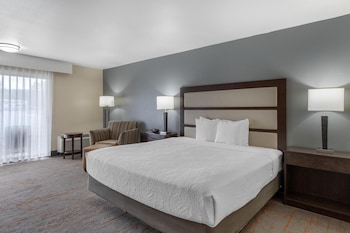Standard Room, 1 King Bed, Accessible, Patio
