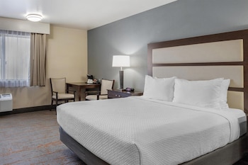 Standard Room, 1 Queen Bed, Non Smoking, Refrigerator & Microwave
