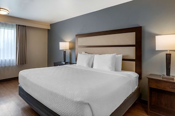 Standard Room, 1 King Bed, Non Smoking, Patio (1st Floor)