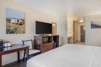 Standard Room, 1 King Bed, Refrigerator & Microwave (Pet Friendly, Roll In Shower)