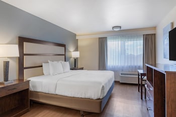 Standard Room, 1 King Bed, Refrigerator & Microwave (Pet Friendly, Roll In Shower)