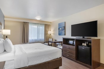 Standard Room, 1 King Bed, Non Smoking, Refrigerator & Microwave (Pet Friendly)