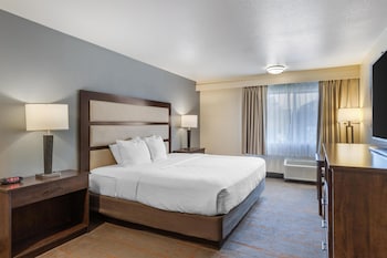 Standard Room, 1 King Bed, Non Smoking, Refrigerator & Microwave