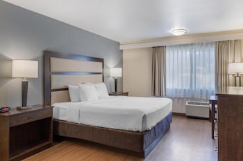 Standard Room, 1 King Bed, Non Smoking, Refrigerator & Microwave (Pet Friendly)