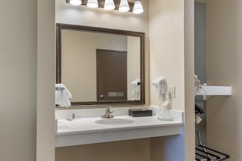 Standard Room, 1 King Bed, Refrigerator & Microwave (Pet Friendly, Roll In Shower)
