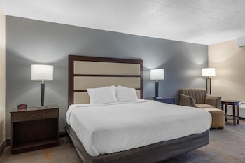 Standard Room, 1 King Bed, Non Smoking, Patio (1st Floor)