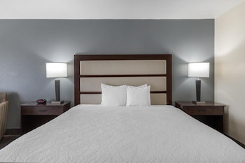 Standard Room, 1 King Bed, Accessible, Patio
