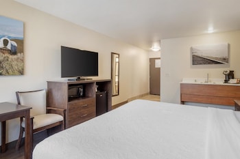 Standard Room, 1 King Bed, Non Smoking, Refrigerator & Microwave (Pet Friendly)