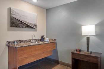 Standard Room, 1 King Bed, Non Smoking, Refrigerator & Microwave