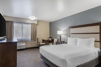 Standard Room, 1 Queen Bed, Non Smoking, Refrigerator & Microwave