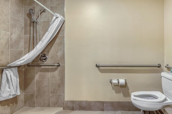 Standard Room, 1 King Bed, Refrigerator & Microwave (Pet Friendly, Roll In Shower)