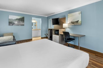 Standard Room, 1 King Bed with Sofa bed, Non Smoking