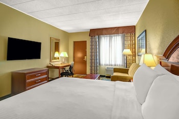 Room, 1 King Bed with Sofa bed (Pull Out Sofa)