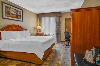 Room, 1 Queen Bed, Accessible