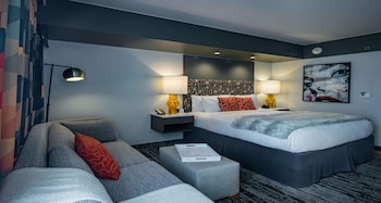 Standard Room, 1 King Bed, Non Smoking (Walk-in Shower;with Sofabed)