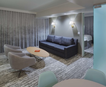 Suite, 1 King Bed, Non Smoking, City View (Walk-in Shower;with Sofabed)
