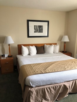 Room, 1 King Bed with Sofa bed, Non Smoking