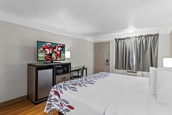 Deluxe Room, 1 King Bed, Accessible, Non Smoking (Roll-In Shower)