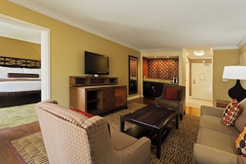 Suite, 1 Bedroom (Sofa Bed)