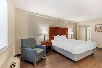 Room, 1 King Bed, Accessible, Non Smoking