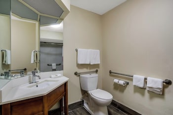 Deluxe Room, 1 Queen Bed, Accessible, Non Smoking (Roll-In Shower)