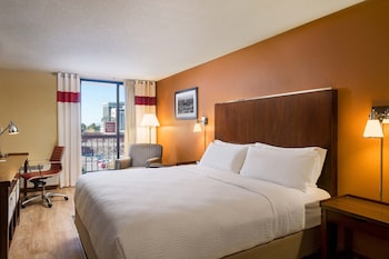 Room, 1 King Bed