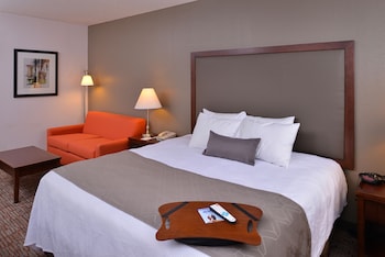 Standard Room, 1 King Bed, Accessible, Non Smoking