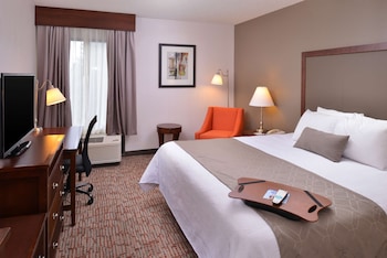 Standard Room, 1 King Bed, Non Smoking, Refrigerator