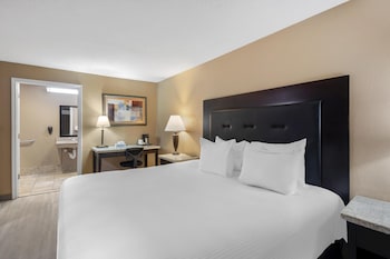 Standard Room, 1 King Bed, Accessible, Non Smoking (with Sofabed)