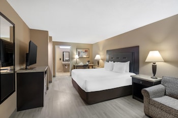 Standard Room, 1 King Bed, Accessible, Non Smoking (with Sofabed)