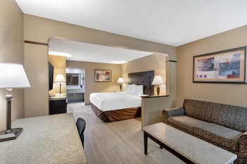Standard Room, 1 King Bed, Non Smoking, Refrigerator & Microwave (Oversized Room)