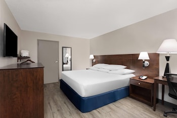 Room, 1 King Bed, Accessible, Non Smoking (Mobility/Hearing,roll-in shower)