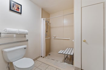 Standard Room, 1 King Bed, Accessible, Non Smoking