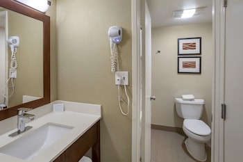 Premier Suite,1 King Bed, Non Smoking