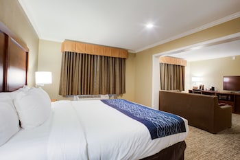 Premier Suite,1 King Bed, Non Smoking