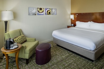 Room, 1 King Bed (Mobility Accessible, Roll-in Shower)