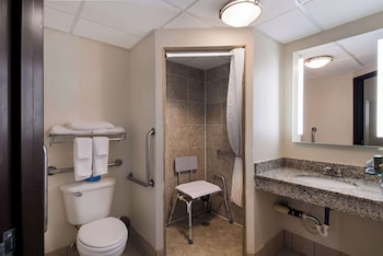 Standard Room, 1 King Bed, Accessible, Refrigerator & Microwave