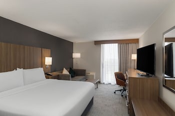 Standard Room, 1 King Bed with Sofa bed