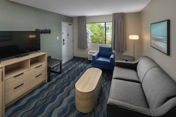 One Bedroom Suite