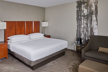 Room, 1 King Bed with Sofa bed