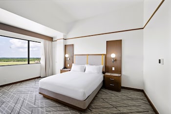 Premium Room, 1 King Bed, Accessible (Roll-In Shower)