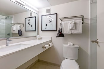 Standard Room, 1 King Bed, Non Smoking, Refrigerator & Microwave
