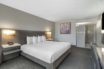 Standard Room, 1 King Bed, Accessible, Non Smoking