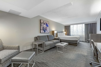 Suite, 1 King Bed, Non Smoking, Refrigerator & Microwave (with Sofabed)