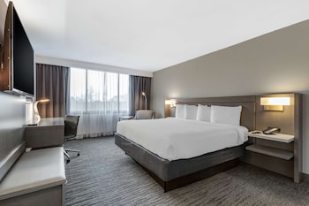 Standard Room, 1 King Bed, Accessible, Non Smoking